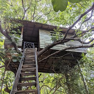 Superior Tree House